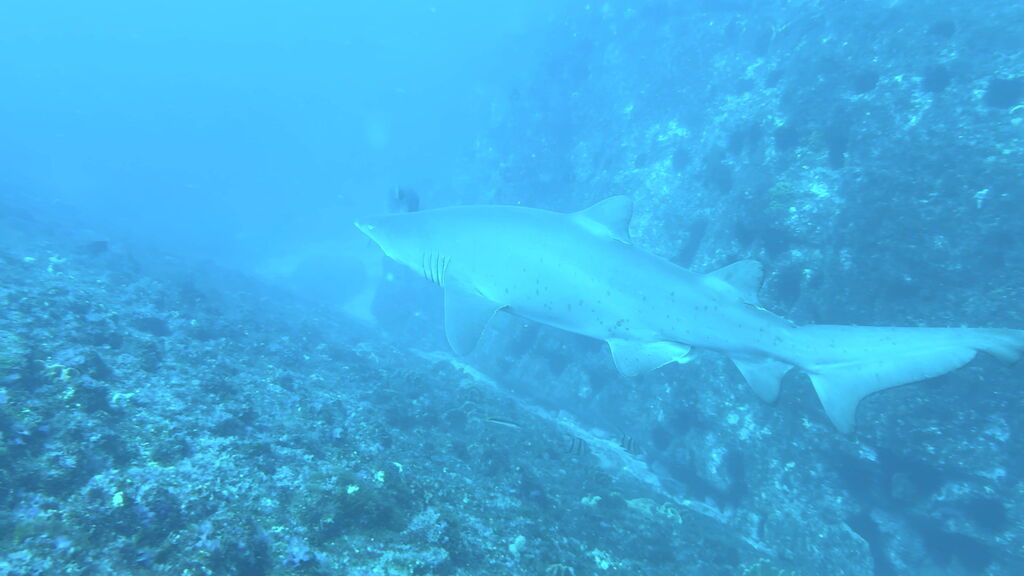 d4650413-3983-4b24-acce-fd445df38959