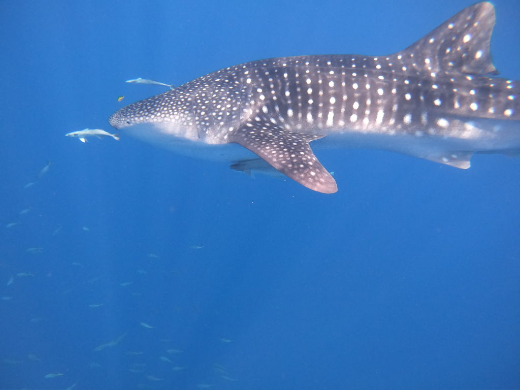 2c78af13-6e5c-4288-a3c0-c063a3dbc220