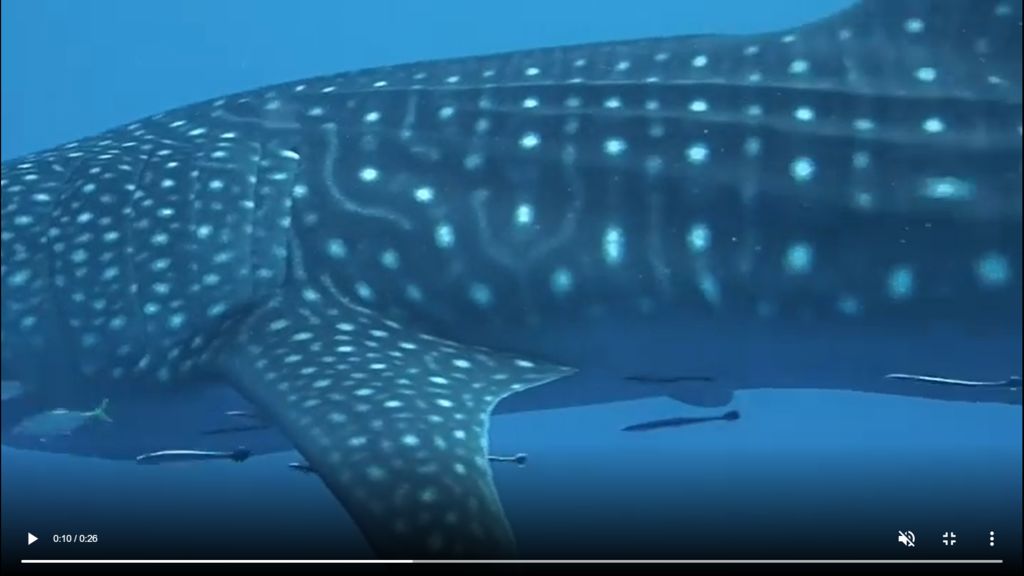 30b65b13-05d8-4857-974f-c1e18bc5a4bb