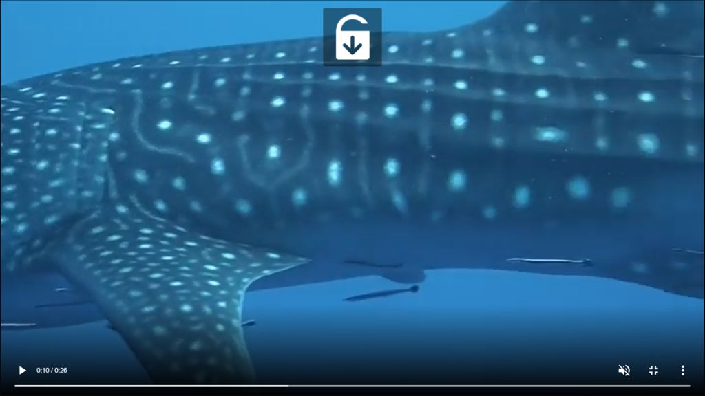 30b65b13-05d8-4857-974f-c1e18bc5a4bb