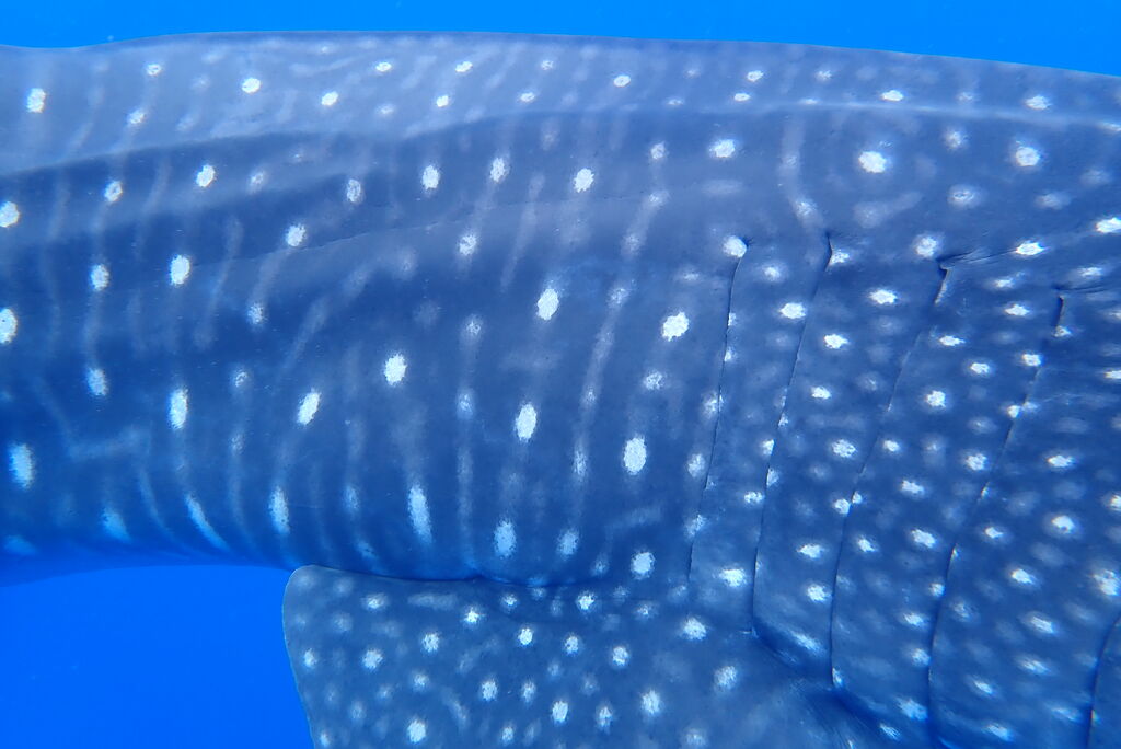 6beaa9ac-3482-4b80-81b4-67841c3b1f1d