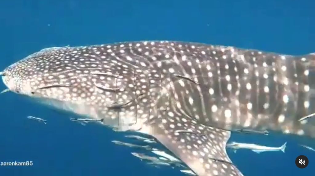 69699799-842c-41f8-bcc4-286bb34dcb94