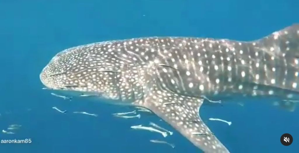 69699799-842c-41f8-bcc4-286bb34dcb94