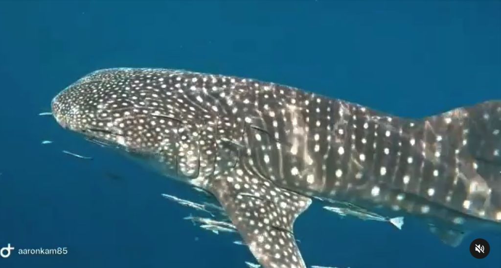 69699799-842c-41f8-bcc4-286bb34dcb94