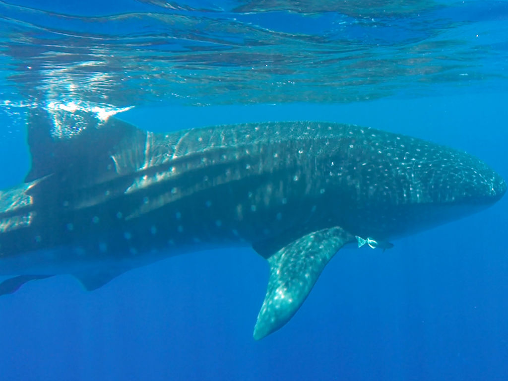 a4d4f71e-12a3-4f4b-9b7c-f41dac7d7a09