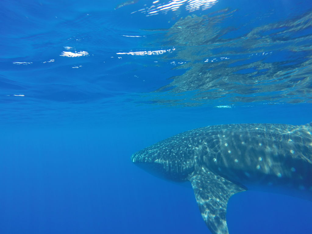 a4d4f71e-12a3-4f4b-9b7c-f41dac7d7a09