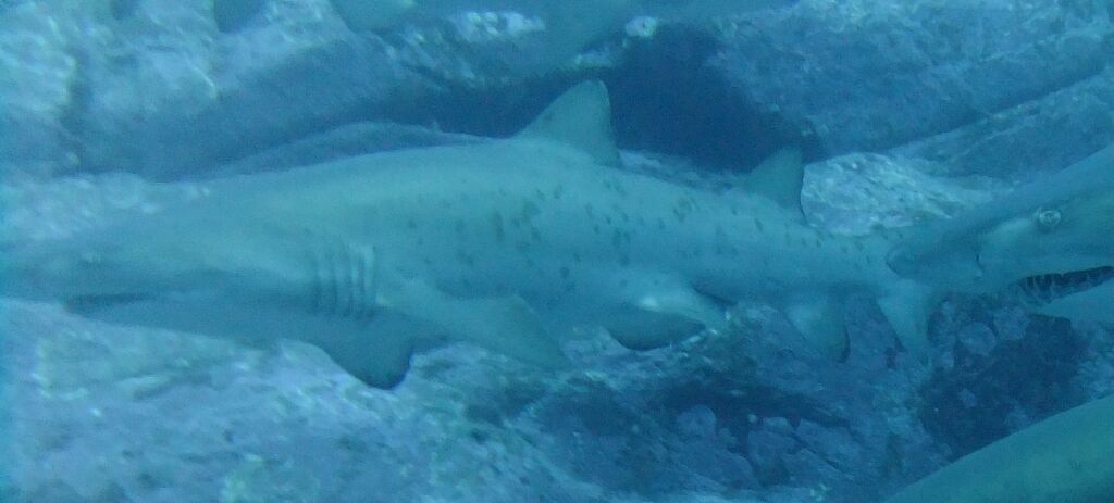 66f209be-a51a-403c-881c-bf0e60c417ab