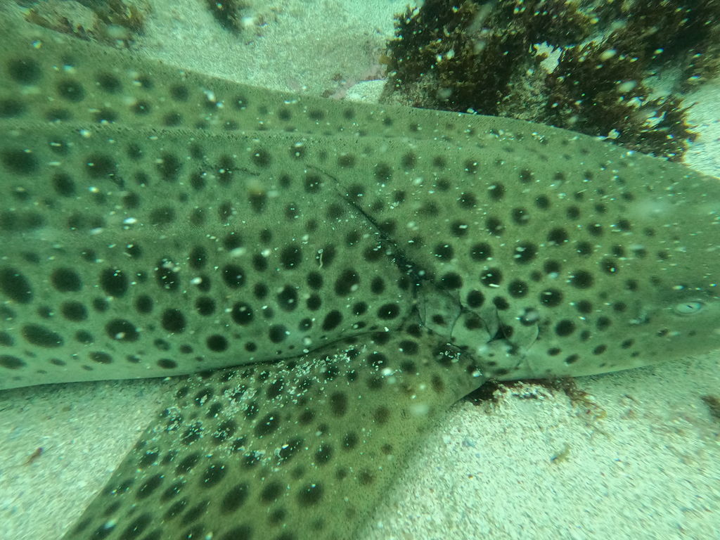 982e17c2-abfb-4035-bec0-a7a7d28f2ed0