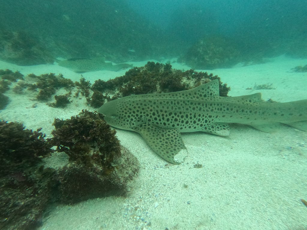 982e17c2-abfb-4035-bec0-a7a7d28f2ed0