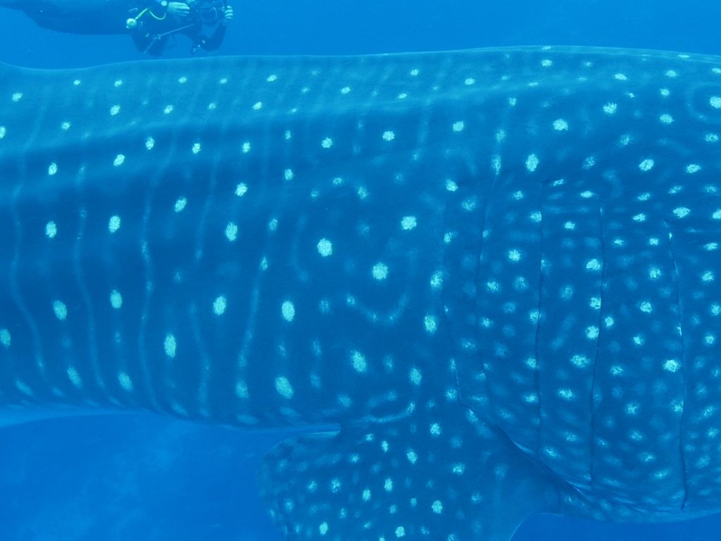 b05d58d6-ea06-48ea-a619-d5d3335728b3