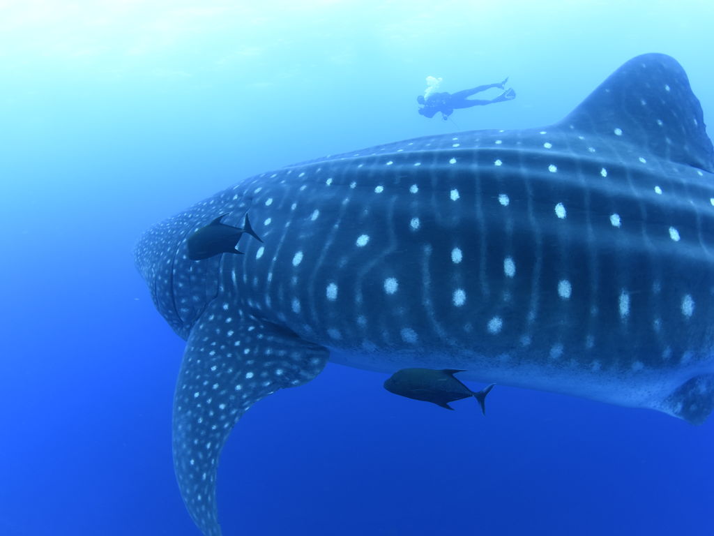 b05d58d6-ea06-48ea-a619-d5d3335728b3