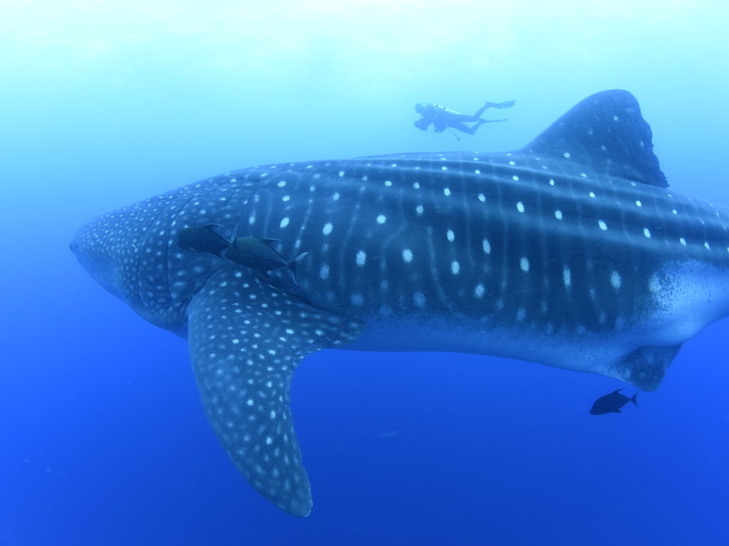 b05d58d6-ea06-48ea-a619-d5d3335728b3