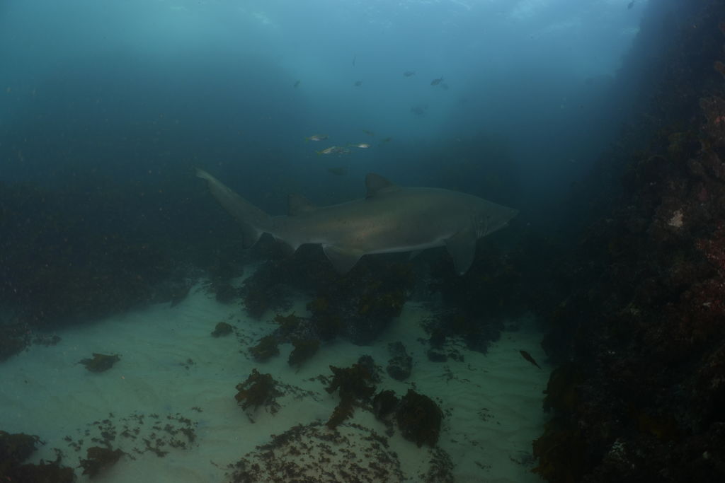 9315cea8-f274-483d-8eca-ce03b193a18a