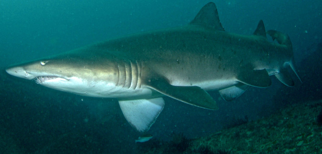 939b668c-735f-4026-b0a7-1979f3cf4aad