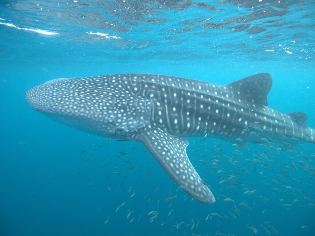 e48e00d9-2a13-408a-8eb2-c60a165cb896