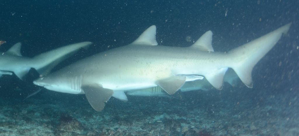 0a34aac4-c2b6-4cbe-a601-3ffbb7d18306