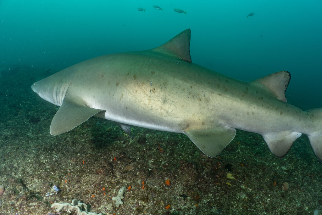 7f4221a9-24ae-4e31-8edd-7fef6e49efb6