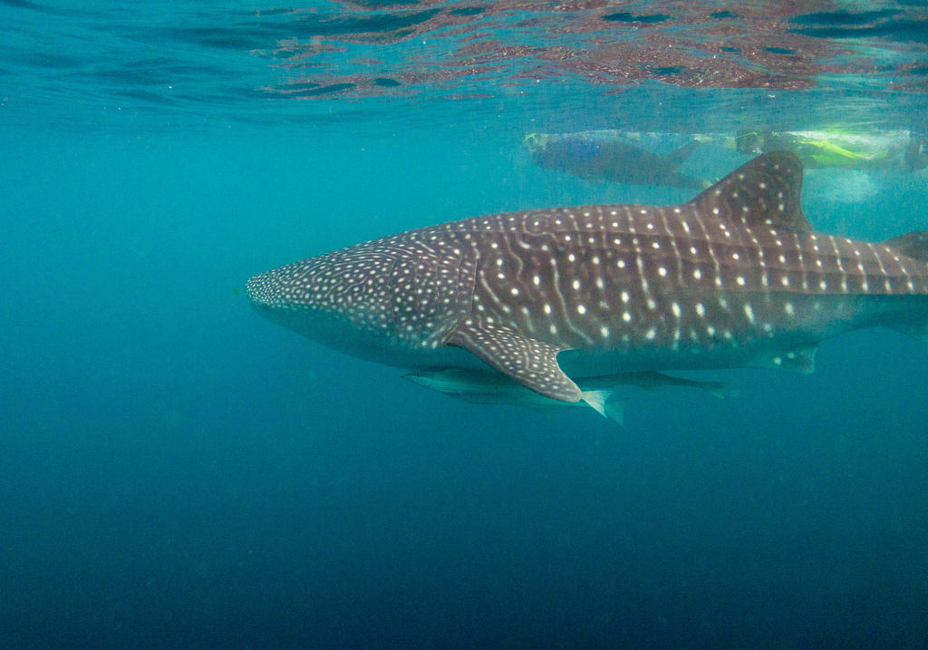 6ae03a9d-d5d1-4cfd-9db0-0521229a4b3e