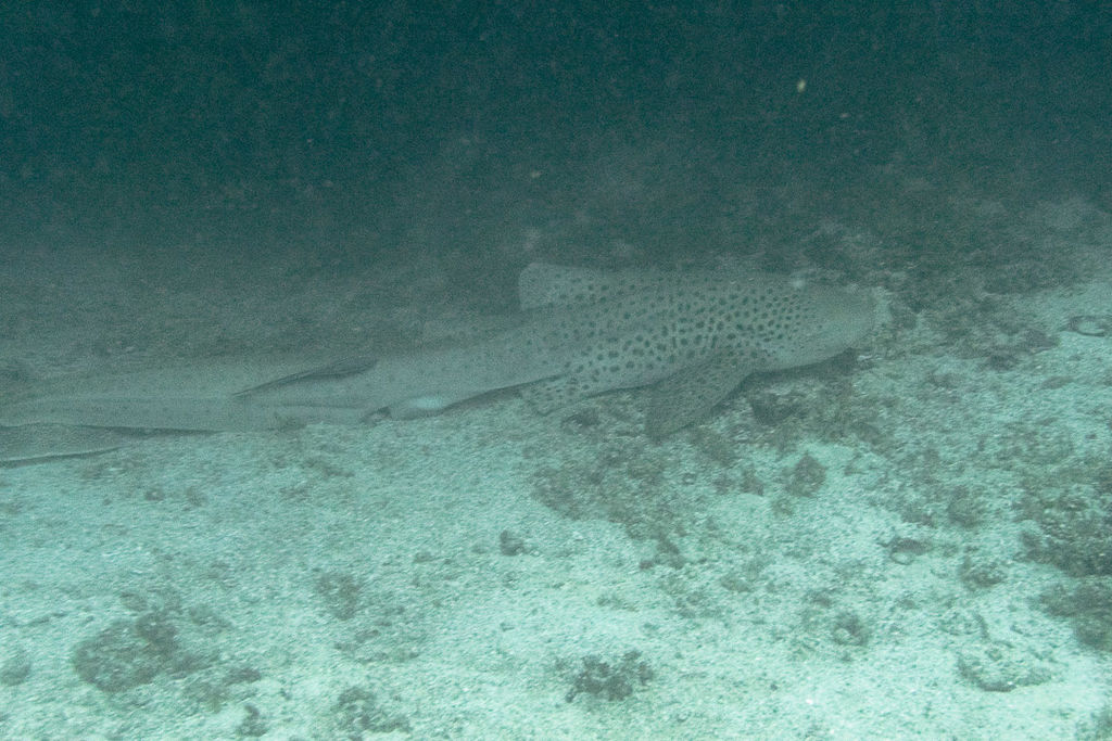 a8f4ce48-d627-4089-baa0-ada409ebddbb