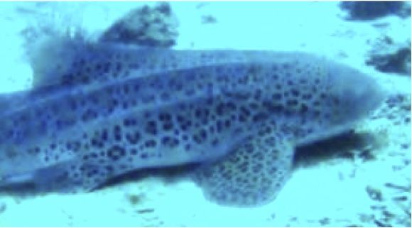 ef3b5125-2c5f-4b2e-b08a-6a2bf6a21cc2