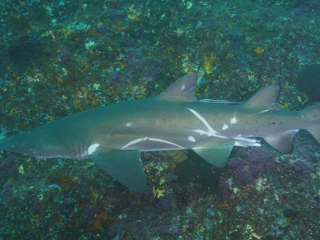 55f246cf-de88-4db7-855f-9734195ef49c