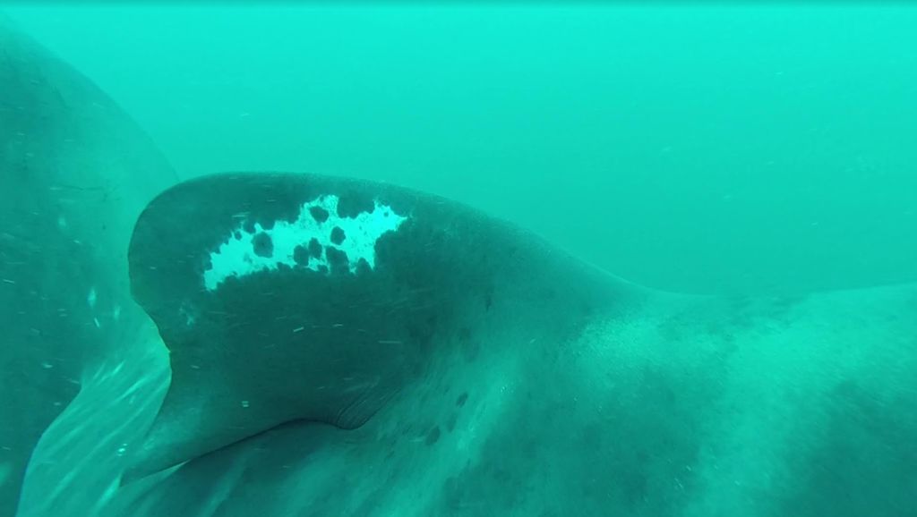 9f35239e-ce8f-4af8-9436-221ca73f00aa