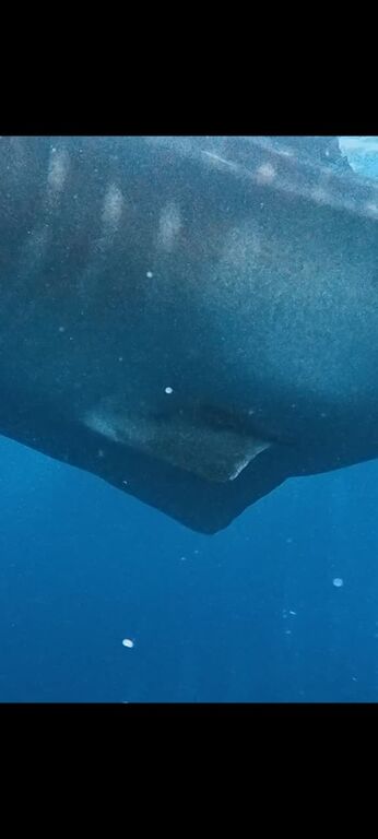 bf39b6aa-a6fd-4631-a94d-ee161e093496