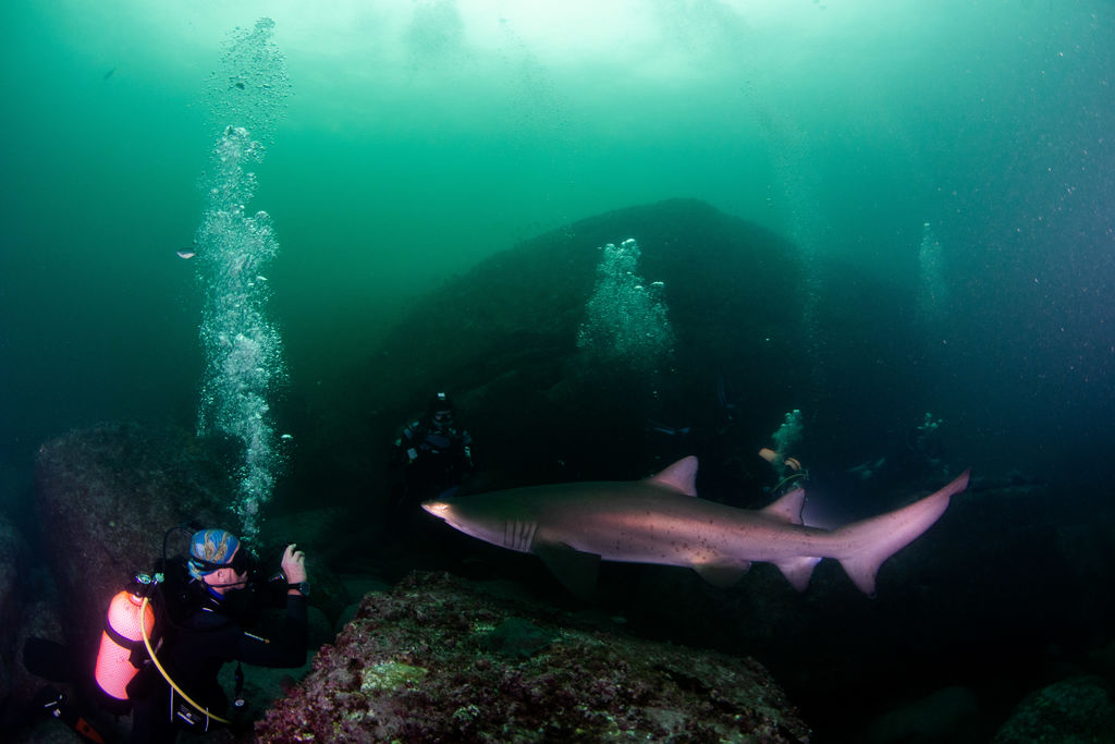 8ea088f3-528d-4322-b5bc-3cd26b485ce8