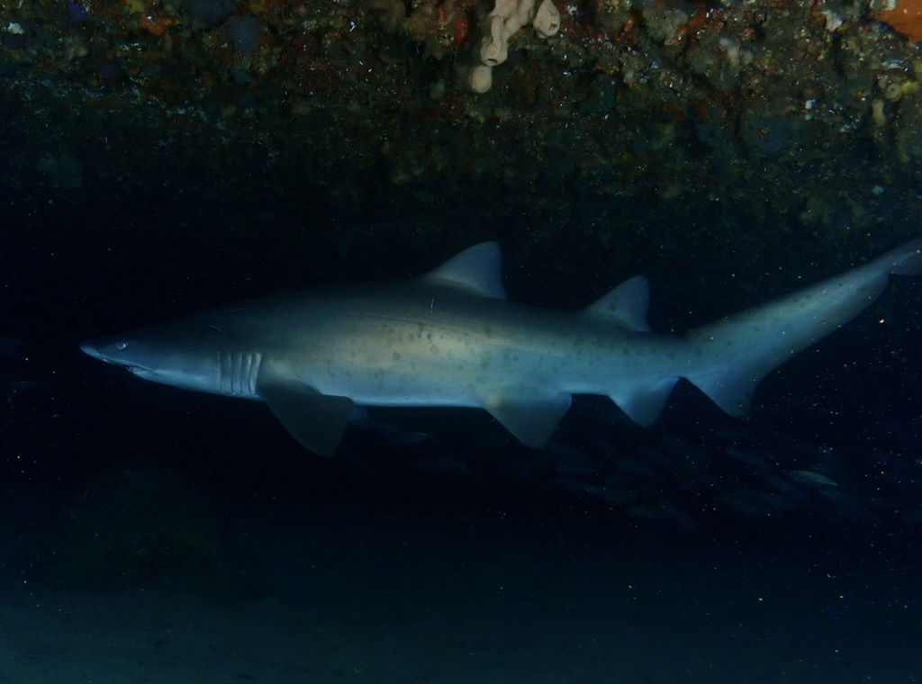 4dd7f654-6330-4fe6-9ea7-0fa788464f57