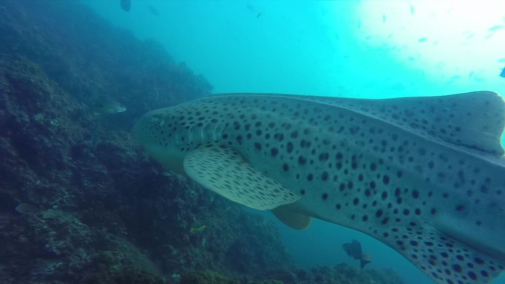 5b588ca3-a153-46fa-a98d-88bba62635ea