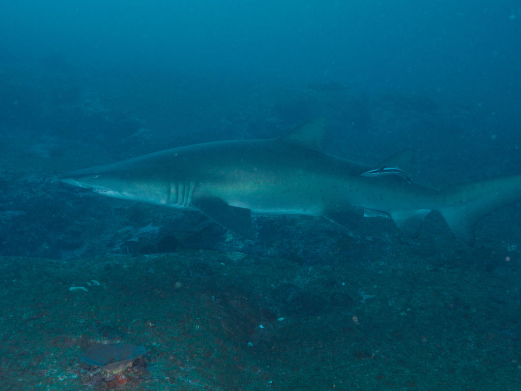 11833177-8499-4dc8-8fb1-b65fa28c4fb4