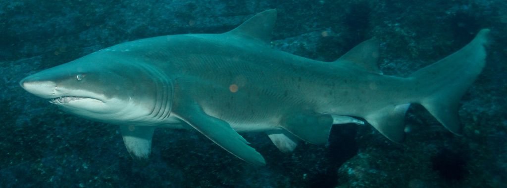 dfaf6287-fe23-4c59-be10-948d3a9c0237