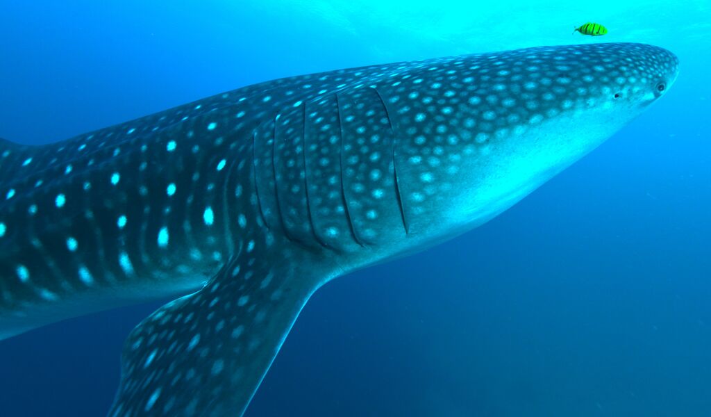 7d3769f0-a5a5-4faa-aa6d-d58df462f267