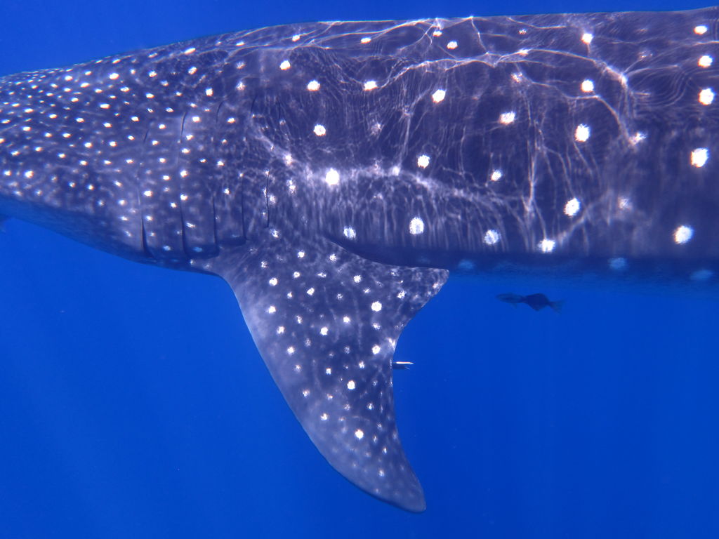 eb3f088c-e13d-4bbd-a8d3-bfa322953381