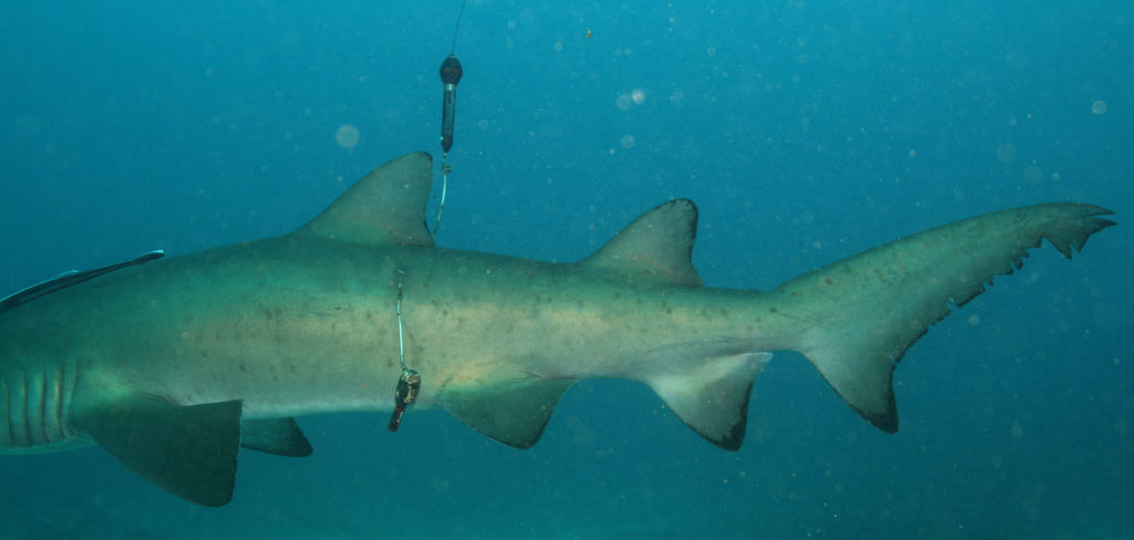 77be973a-84b6-4805-a4c4-ffb717a057ba