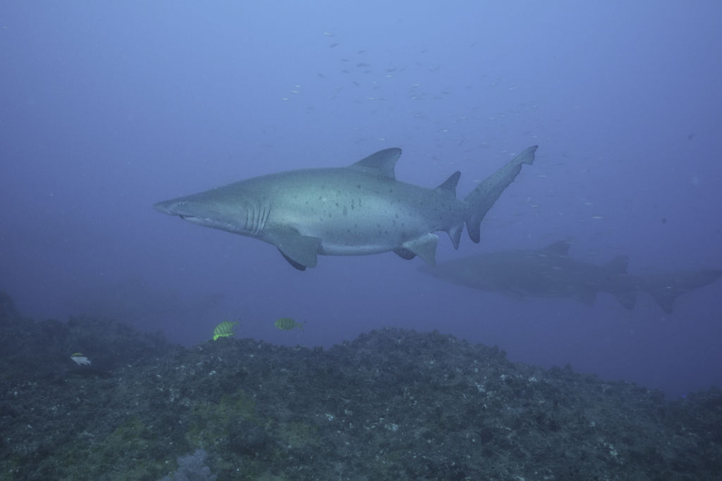 459b1f53-e372-4ab4-b897-6a962c5f7b25