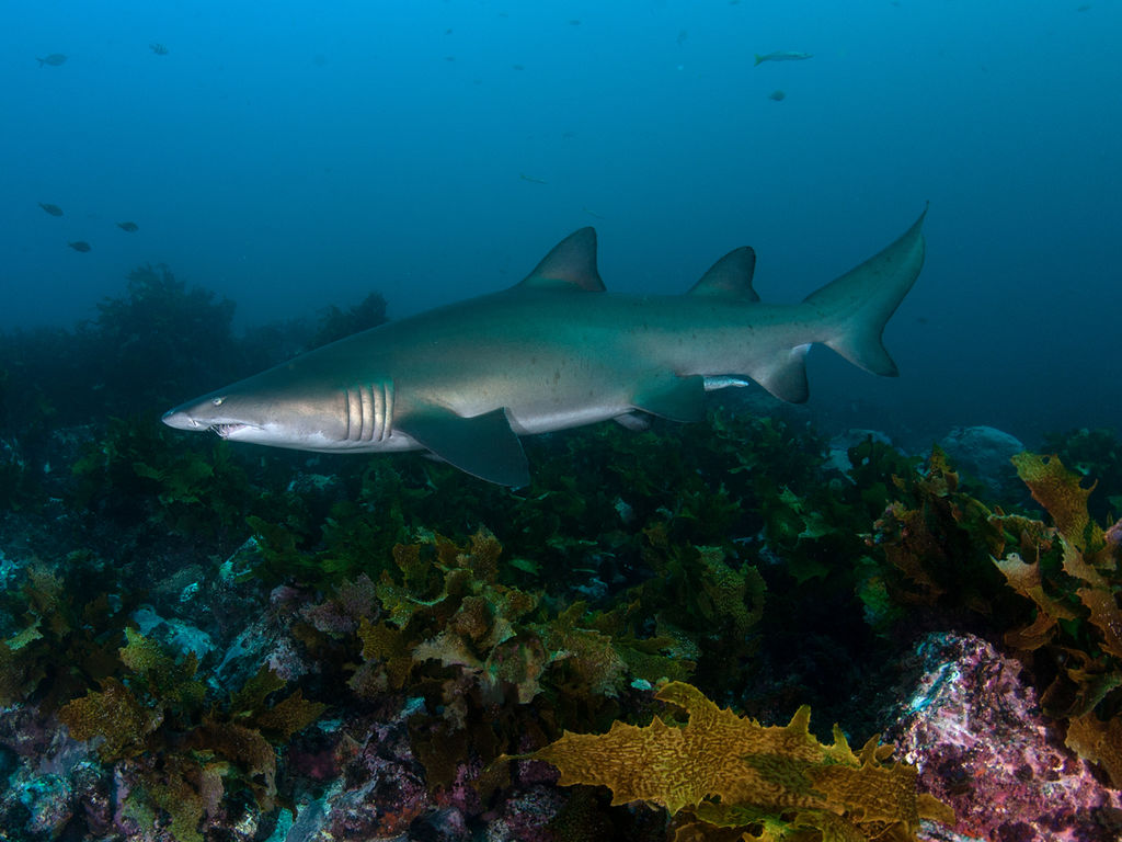 6bcc6bc3-cc74-41fc-aff8-49c1bad98313