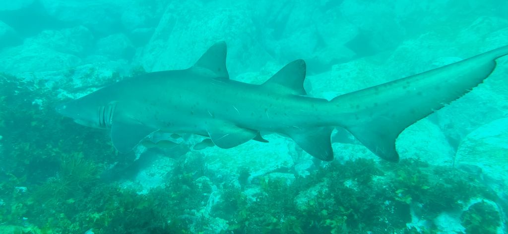 f794932c-58d1-4bfe-8d16-0ea38accaf8c