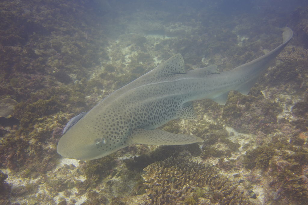 b829565e-133a-4185-9b65-fa718e818870