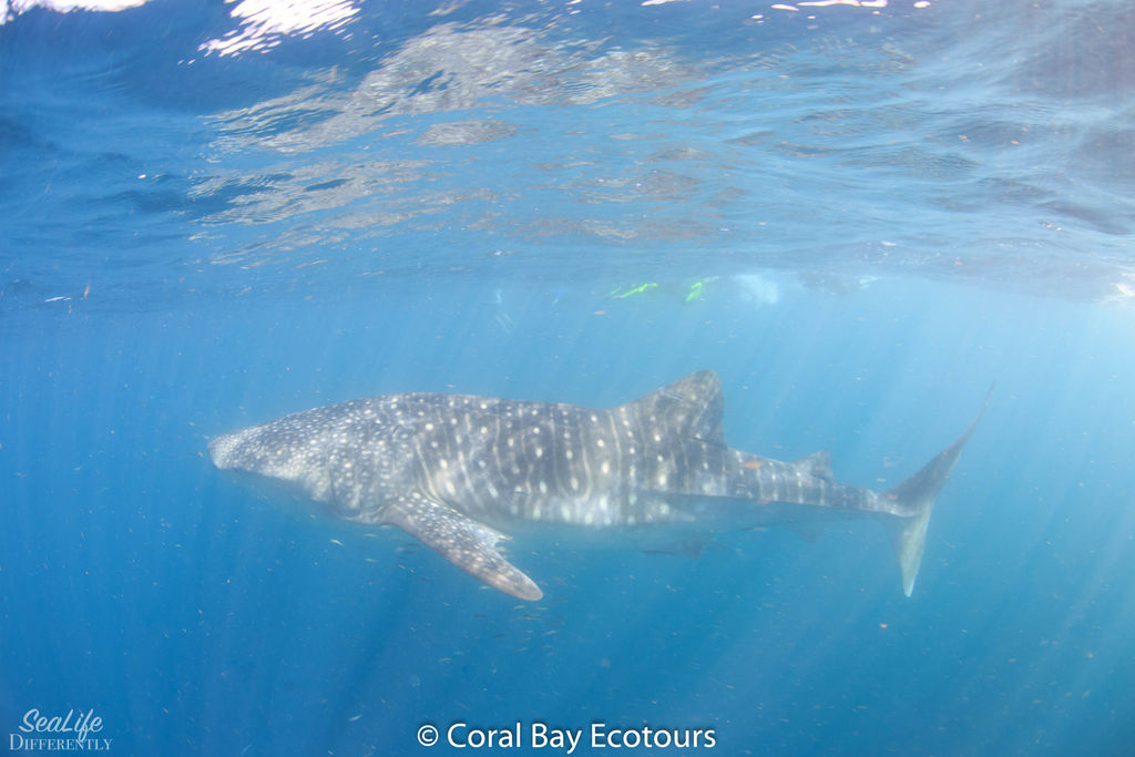 1d3d2551-66f7-48a3-a8c5-eed0ce9342fa