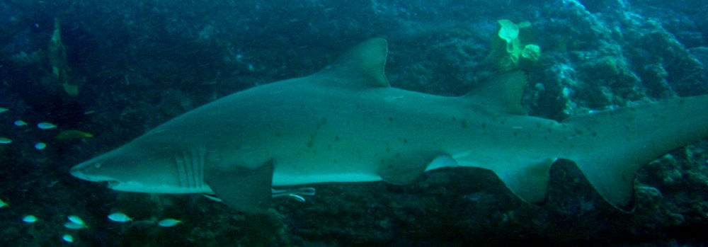 39142d4b-8827-47df-b830-6f7c2959846d