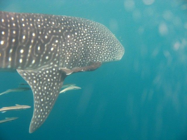 dcae0b1f-6950-437e-8348-197b7e66ad0c