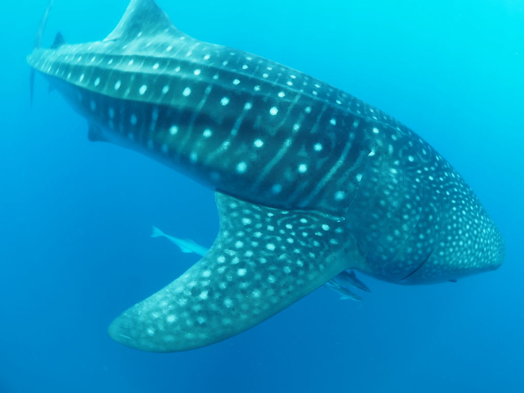 d5d5cb67-f535-40d2-a66c-5f1b6d41a14d