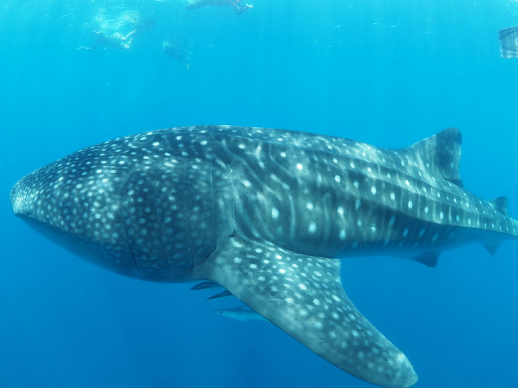 d5d5cb67-f535-40d2-a66c-5f1b6d41a14d