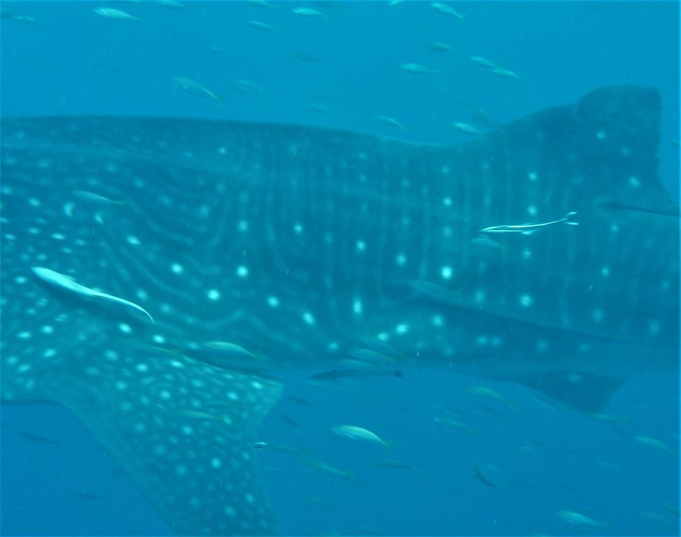 737aeb12-9172-4674-972a-fccd64f74eea