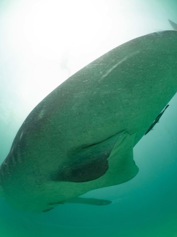 f12a83bf-8b9b-46bd-bd5b-00d5b9a65141