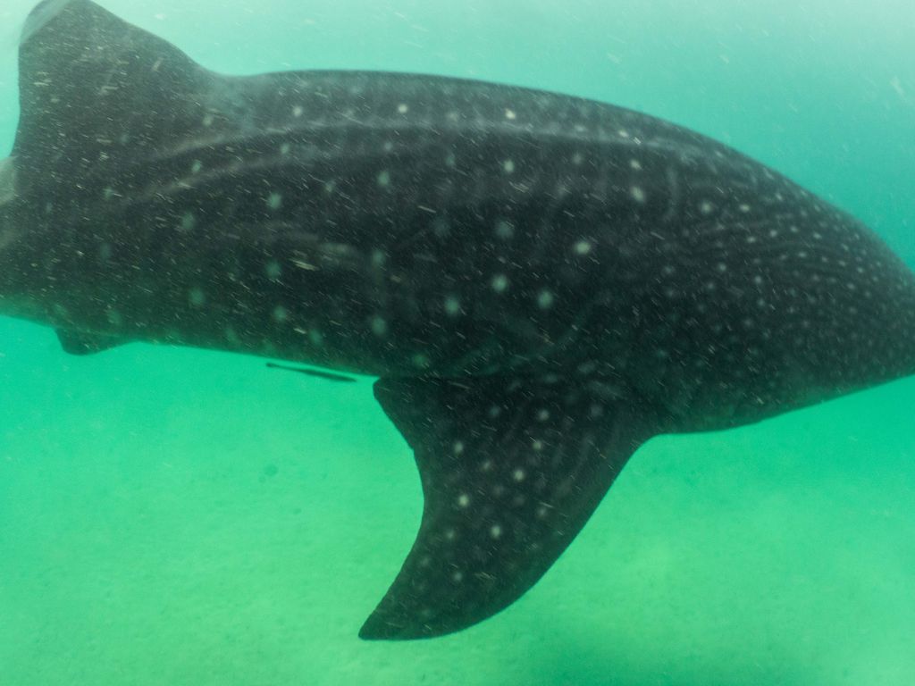 f12a83bf-8b9b-46bd-bd5b-00d5b9a65141