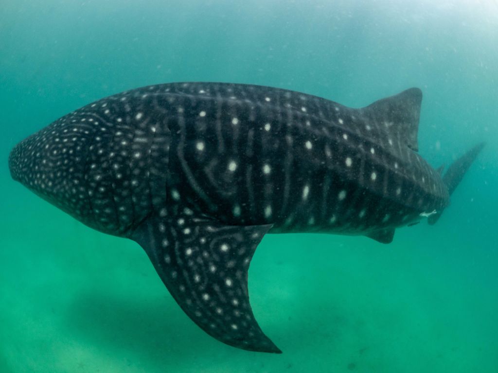 f12a83bf-8b9b-46bd-bd5b-00d5b9a65141