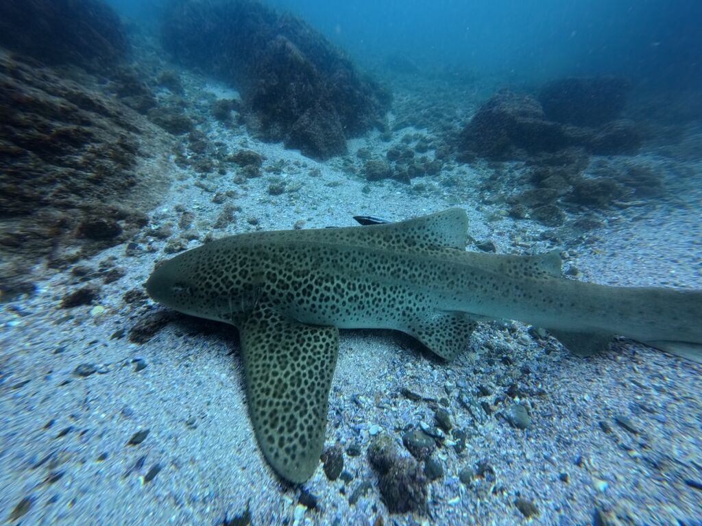 c11e34db-3108-420a-985d-1913a5b9de32