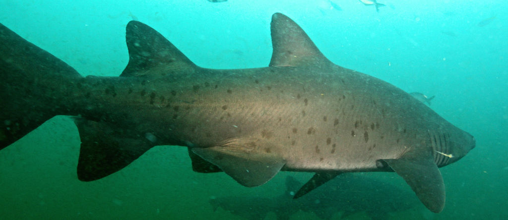 3c139749-a672-4a0d-bb49-a69853440823